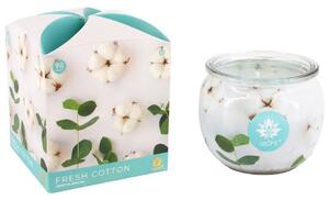 Arome Vonná sviečka v skle Fresh Cotton, 90 g