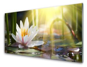 Sklenený obklad Do kuchyne Vodné lilie slnko rybník 125x50 cm