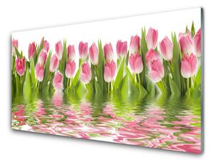 Sklenený obklad Do kuchyne Tulipány rastlina príroda 100x50 cm