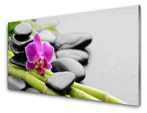 Sklenený obklad Do kuchyne Bambus kvet kamene umenie 100x50 cm