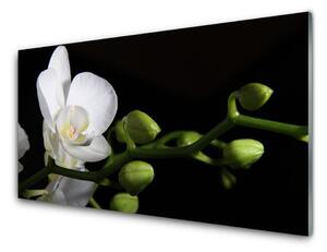 Sklenený obklad Do kuchyne Kvet rastlina príroda 100x50 cm