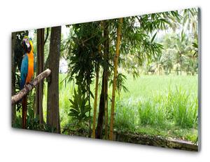 Sklenený obklad Do kuchyne Papagáj stromy príroda 100x50 cm