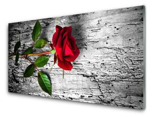 Sklenený obklad Do kuchyne Ruže kvet rastlina 100x50 cm