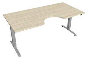 Elektricky výškovo nastaviteľný stôl Hobis Motion Ergo - 2 segmentový, štandardný ovládač Šírka: 160 cm, Farba dosky: buk, Farba kovu: biela RAL 9016