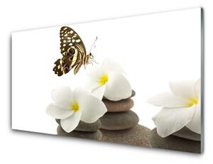 Sklenený obklad Do kuchyne Motýľ kvet kamene rastlina 125x50 cm