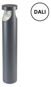REDO 90503-DALI XWALK vonkajšie stojanové svietidlo/stĺpik SMD LED V800mm 24W 3280/2338lm 3000K IP65 tmavo šedá