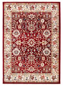 Kusový koberec Hakim bordó 200x305cm