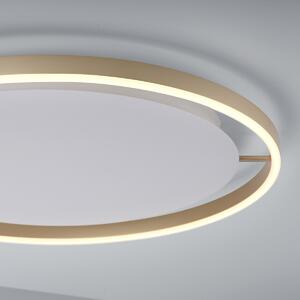 Stropné svietidlo mosadzné 58,8 cm vrátane LED 3-stupňovo stmievateľné - Zlatan