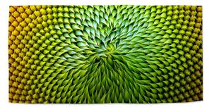 Sablio Uterák Detailný kvet - 30x50 cm