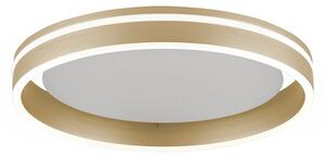 Inteligentné stropné svietidlo mosadzné 40 cm s diaľkovým ovládaním - Ronith