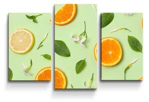 Sablio Obraz - 3-dílný Citrus a kvet - 75x50 cm