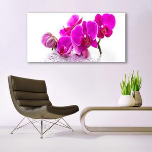 Obraz na akrylátovom skle Kvety rastlina 120x60 cm 2 Prívesky