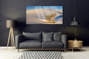 Obraz na skle Púšť krajina 140x70 cm 2 Prívesky