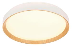 STROPNÉ LED SVIETIDLO, 48/8 cm Novel - Interiérové svietidlá