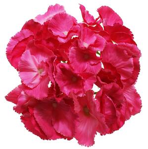 Hlava hydrangea tmavo ružová 16cm