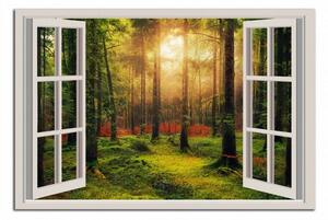 Obraz na stenu Okno do lesa