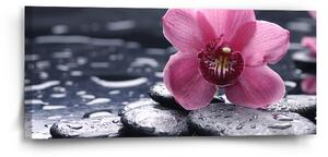 Sablio Obraz Orchidea - 110x50 cm