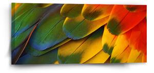 Sablio Obraz Farebné perie - 110x50 cm