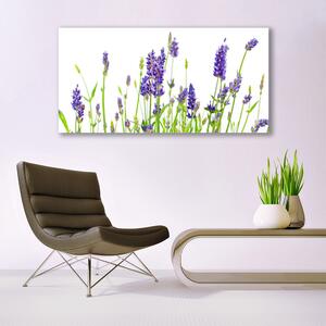 Obraz na akrylátovom skle Kvety 140x70 cm 4 Prívesky