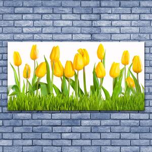 Obraz na skle Tulipány 140x70 cm 4 Prívesky