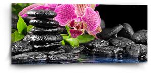 Sablio Obraz Orchidea na kameňoch - 110x50 cm