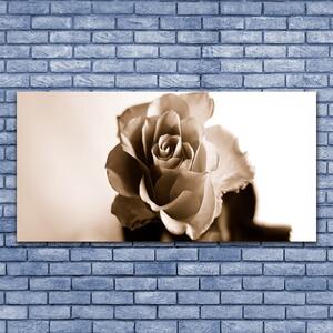 Obraz na skle Ruže kvet 140x70 cm 4 Prívesky