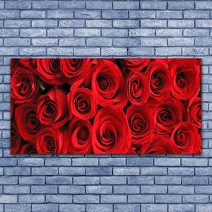 Obraz na skle Ruže kvety 140x70 cm 4 Prívesky