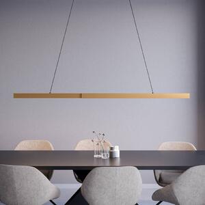 Stars of Light LED závesné svietidlo Montebuono, zlatá, 180 cm, stmievateľné., Čierna, Obývacia izba / jedáleň, Hliník, Moderný, Závesné svietidlo