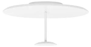 LED stmievateľné biele moderné stropné svietidlo Nima 45
