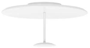 LED stmievateľné biele dizajnové stropné svietidlo Nima 60
