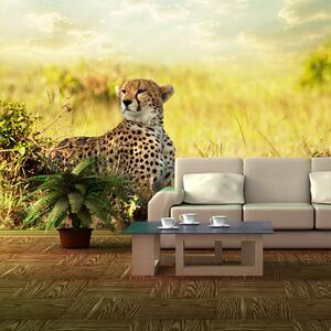 Sablio Tapeta Gepard - 208x125 cm