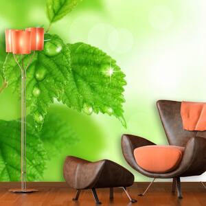 Sablio Tapeta Listy 2 - 125x75 cm