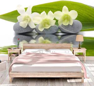 Sablio Tapeta Biela orchidea - 125x75 cm