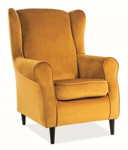 Kreslo BARON VELVET CURRY BLUVEL 68 / Venge