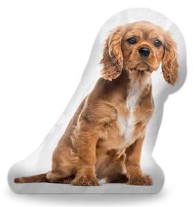 Sablio 3D vankúš King charles španiel