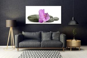 Skleneny obraz Kvet kamene umenie 140x70 cm 2 Prívesky