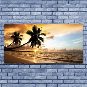 Skleneny obraz Palma stromy pláž krajina 120x60 cm 4 Prívesky