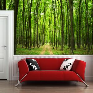 Sablio Tapeta Cesta v lese - 336x220 cm