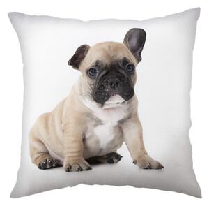 Jerry Fabrics Detský vankúšik s potlačou - Bulldog | 40 x 40 cm