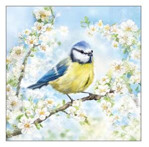Papierové obrúsky so sýkorkou na rozkvitnutej vetve Blossom - 33*33 cm (20ks) - Ostatní