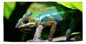 Sablio Uterák Chameleón - 30x50 cm