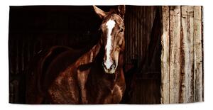 Sablio Uterák Kôň v stajni - 30x50 cm