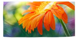 Sablio Uterák Oranžová gerbera - 30x50 cm