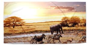 Sablio Uterák Safari - 30x50 cm
