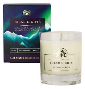 Vonná sójová sviečka Polar Lights 170 ml