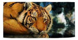 Sablio Uterák tiger - 30x50 cm