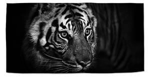 Sablio Uterák Čierno-biely tiger - 30x50 cm