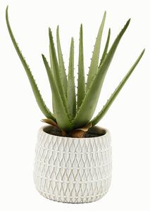 UMELÁ RASTLINA 35 cm - Kvety & kvetináče, Online Only