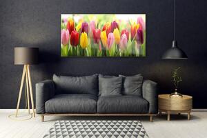 Skleneny obraz Tulipány kvety príroda 140x70 cm 4 Prívesky