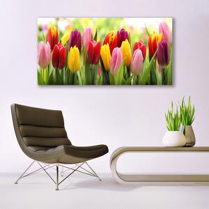 Skleneny obraz Tulipány kvety príroda 140x70 cm 4 Prívesky